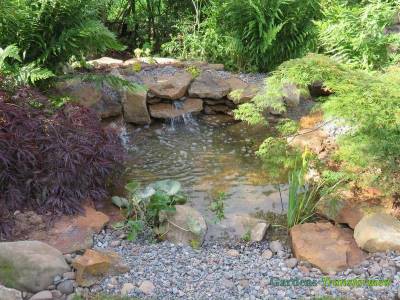 Home - Gardens Transformed - Garden and Landscape Design in Carlisle ...
